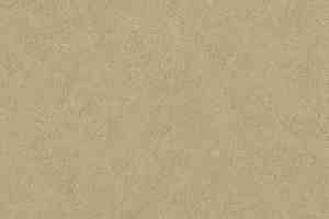 Линолеум Forbo Marmoleum Marbled Fresco 3890-389035 oat фото  | FLOORDEALER